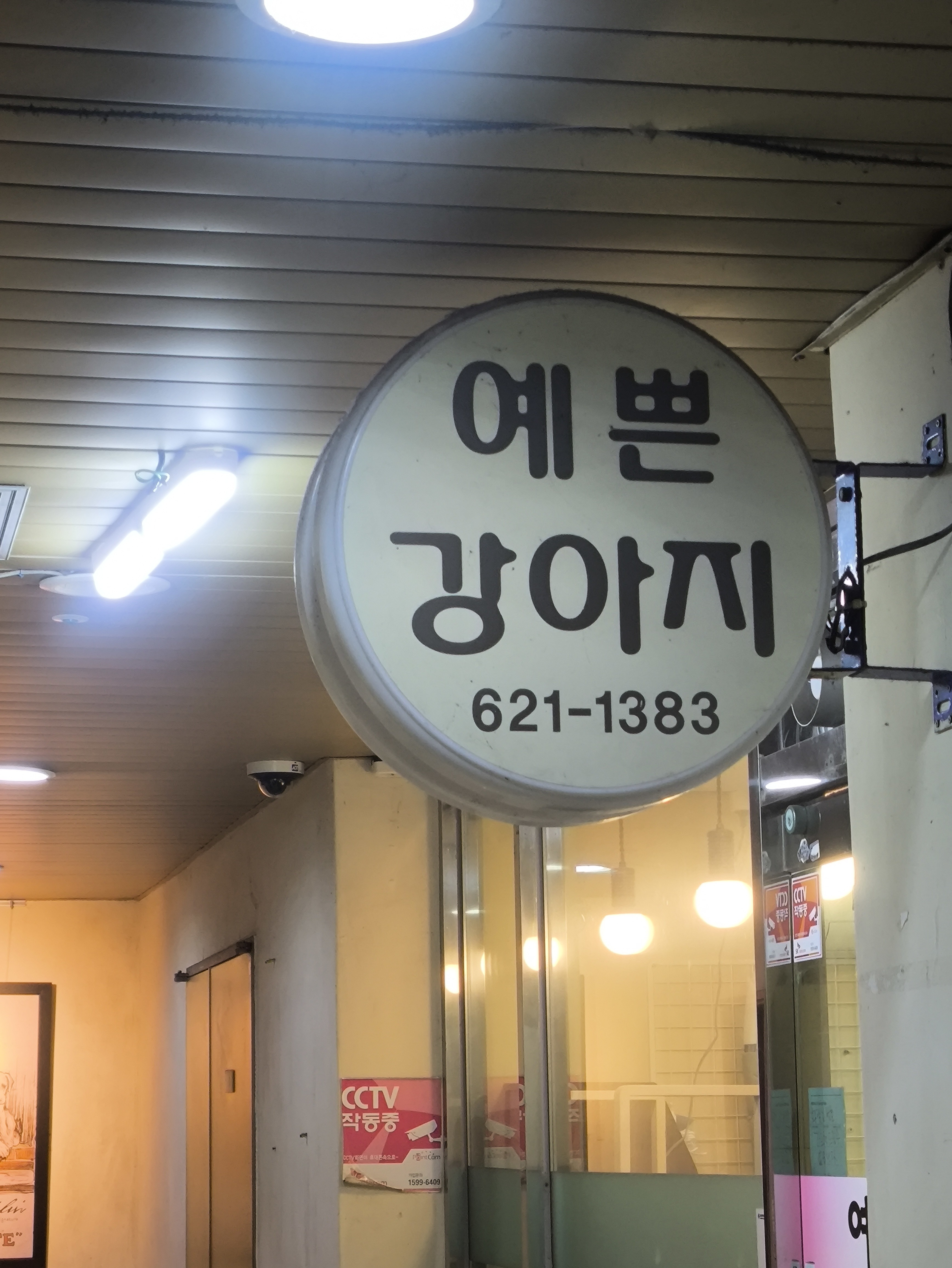 예쁜강아지