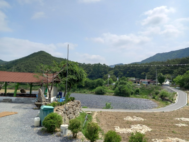 힐링스트로펜션 이미지