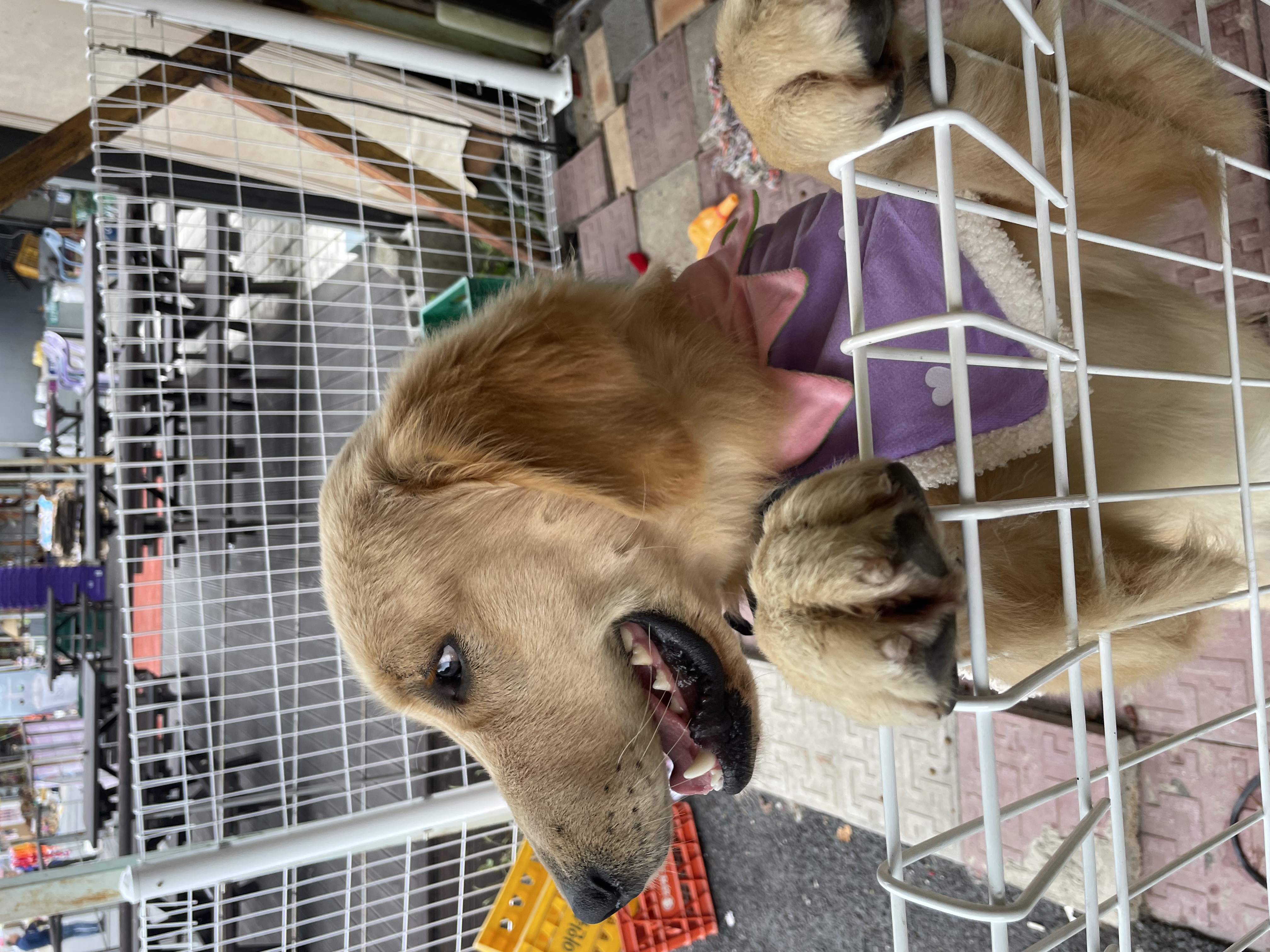 백산커피 이미지