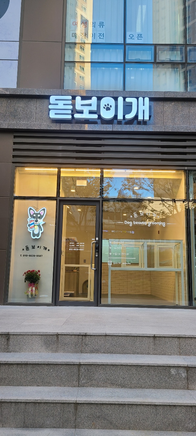 돋보이 개