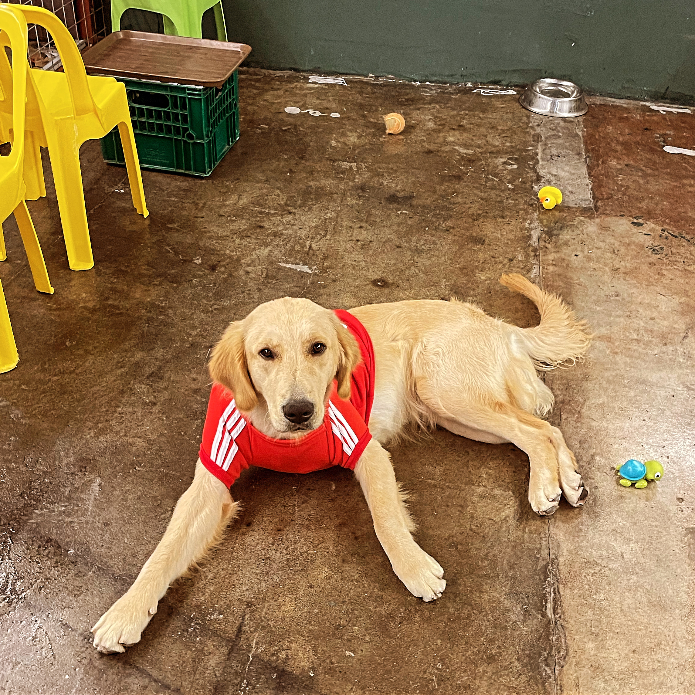 백산커피 이미지