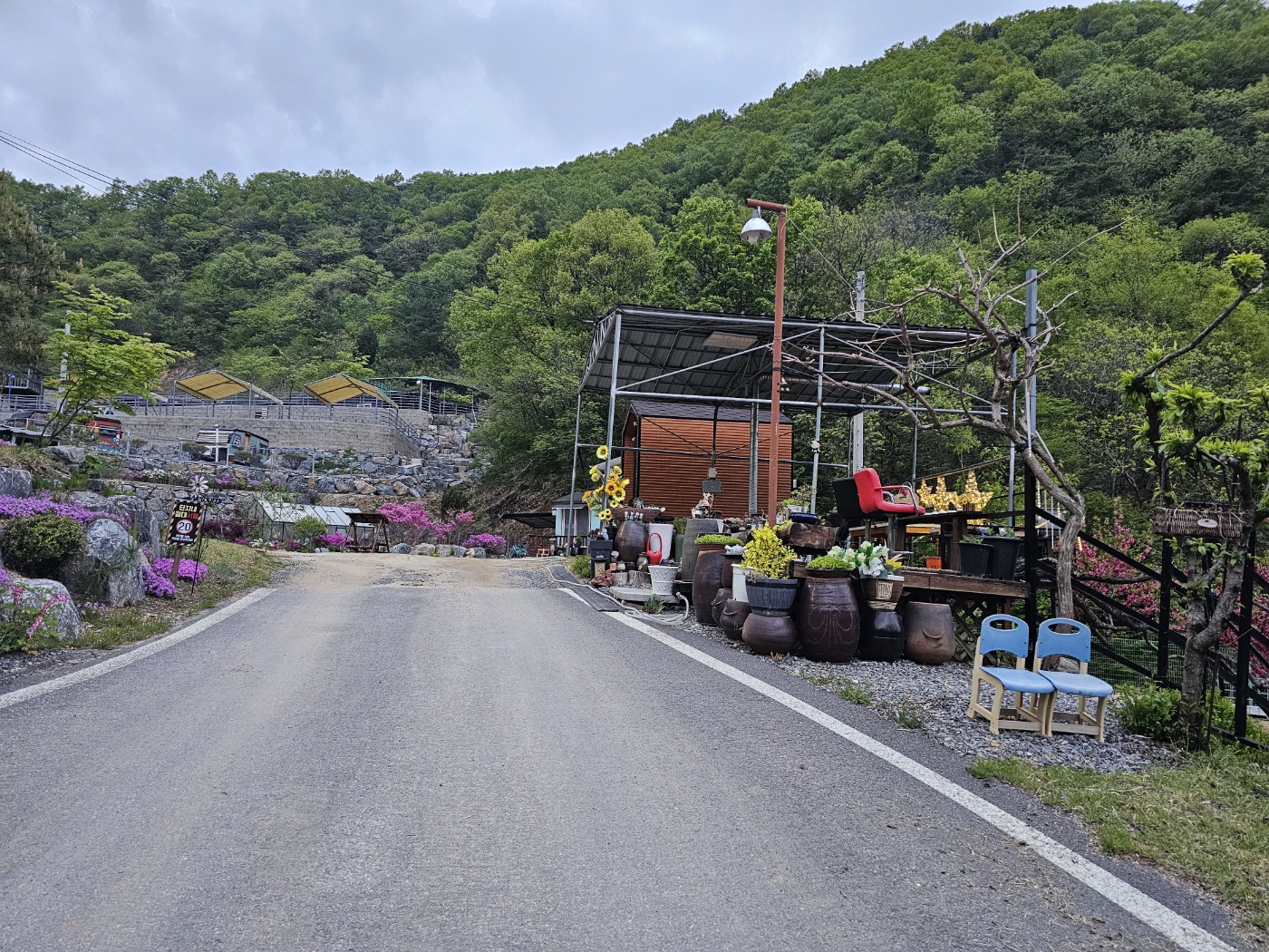 단양별마루캠핑장 이미지