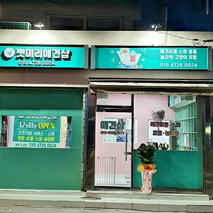 펫미리애견샵
