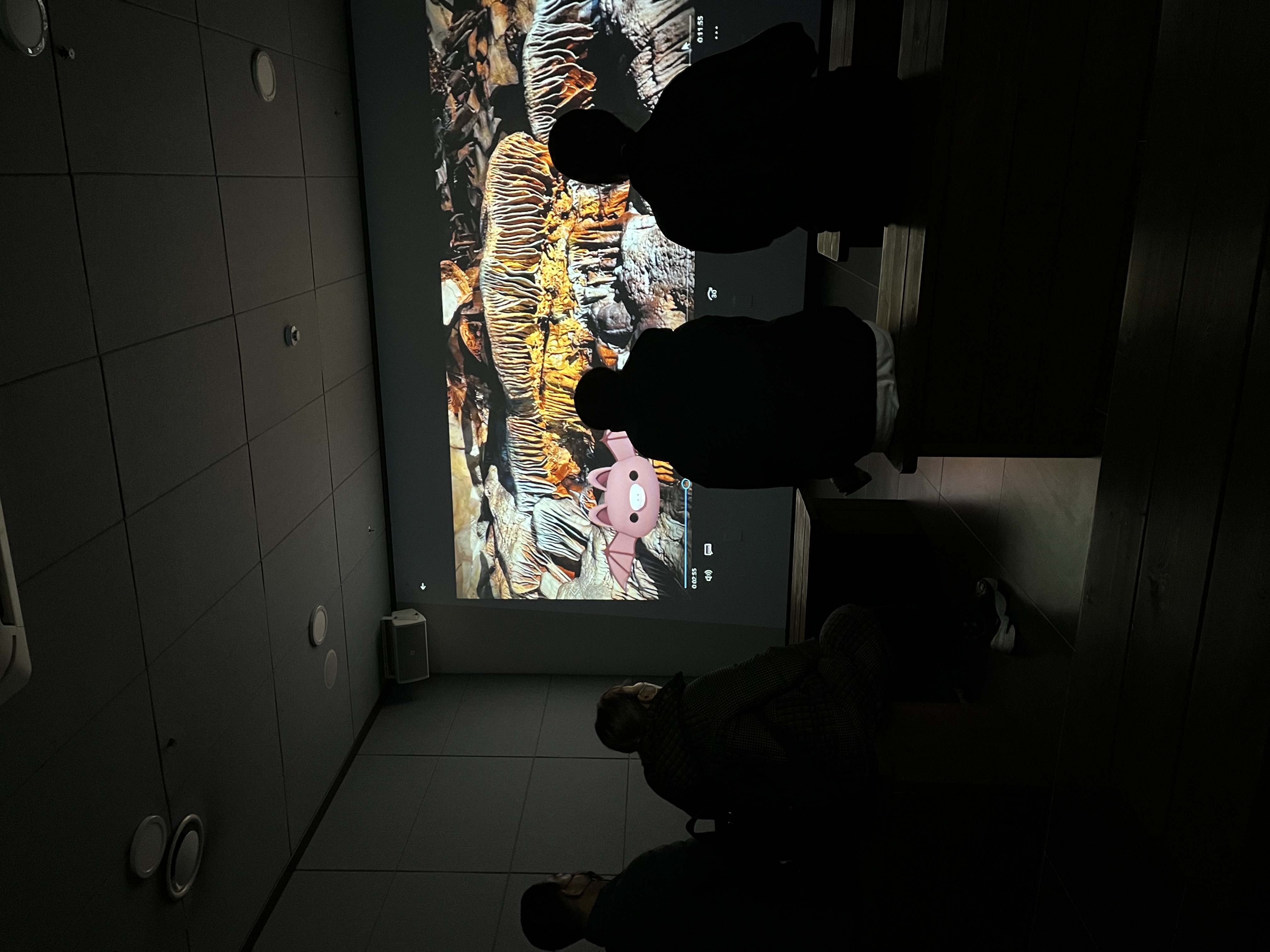 단양 고수동굴 이미지