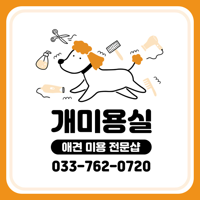 개미용실