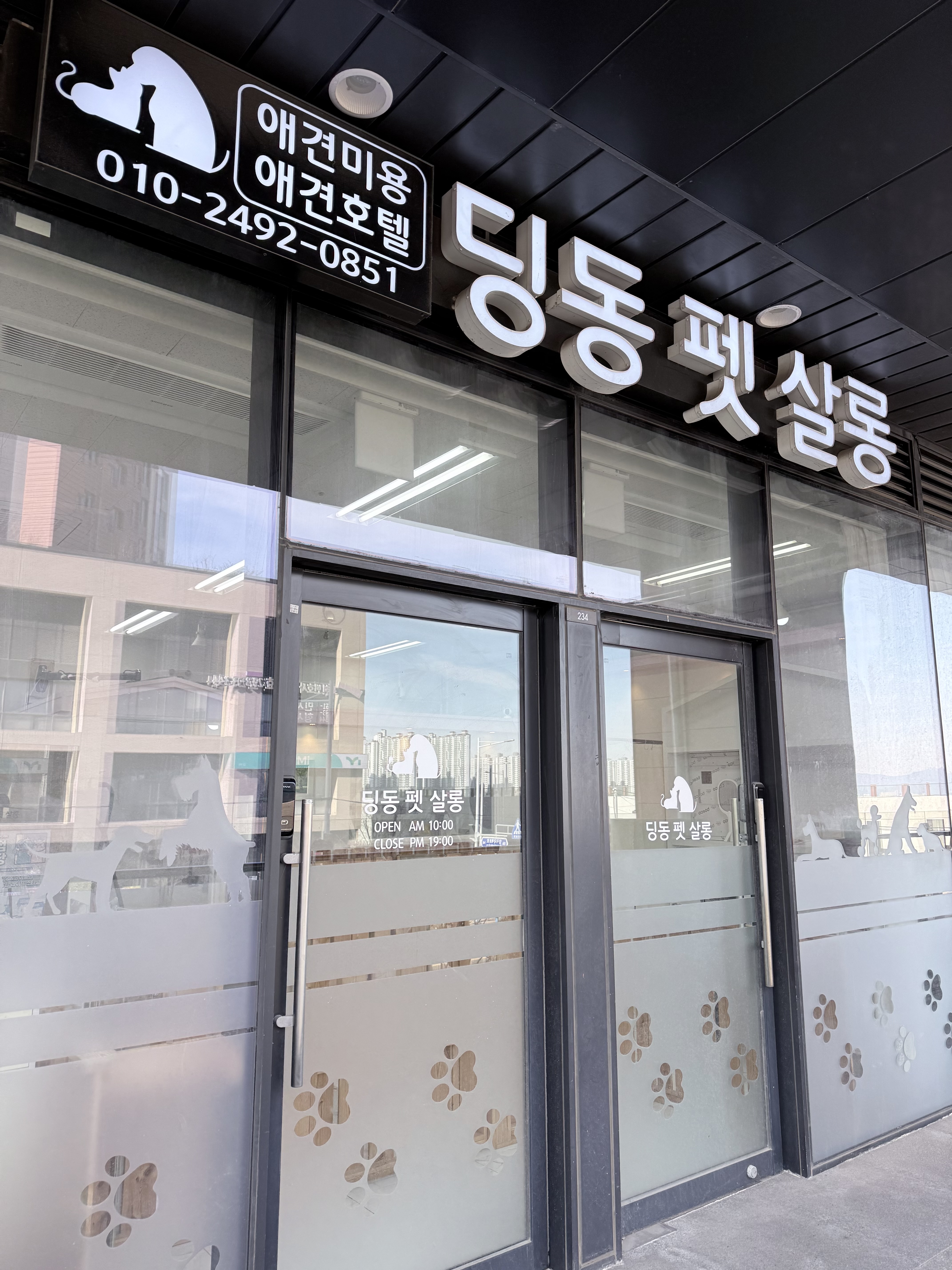 딩동 펫 살롱