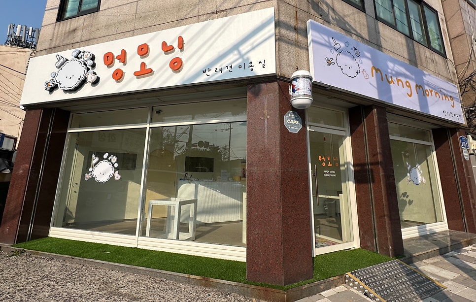 멍모닝