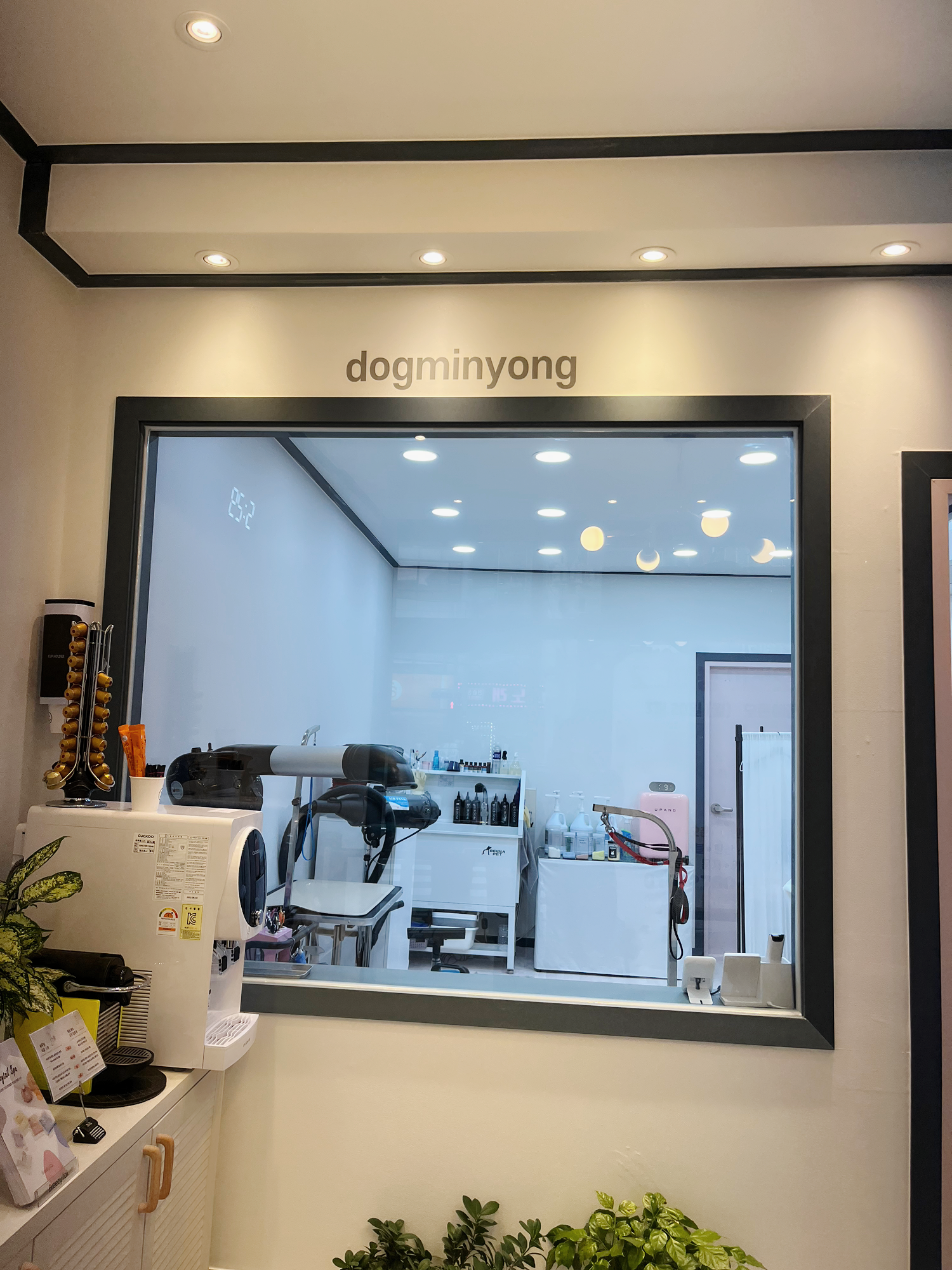 도그미뇽