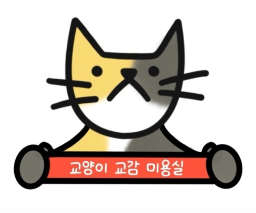 고양이미용실 냥빨