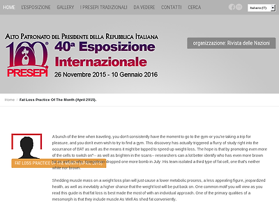 http://www.presepi.it/?option=com_k2&view=itemlist&task=user&id=79245