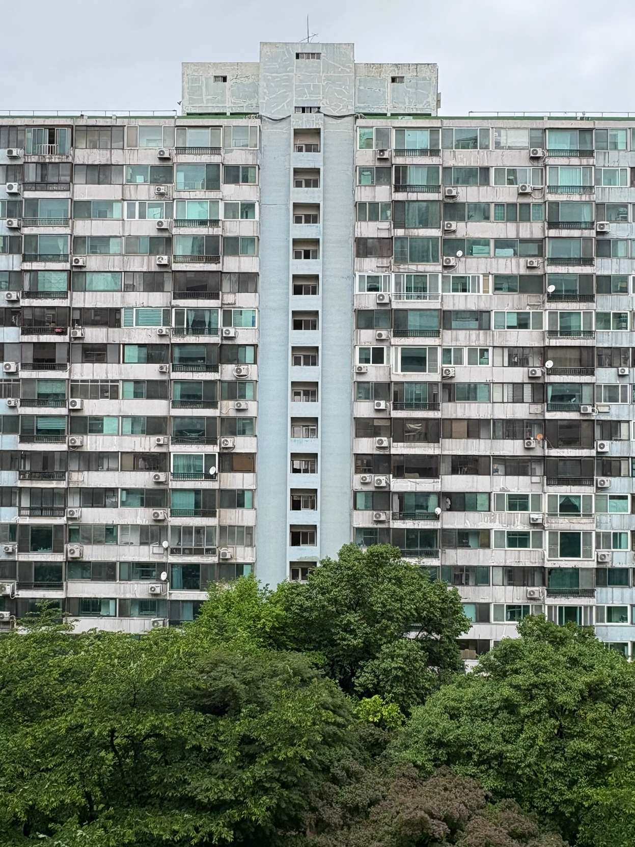 [연재 브런치북] 잠실주공5단지 겨우살이