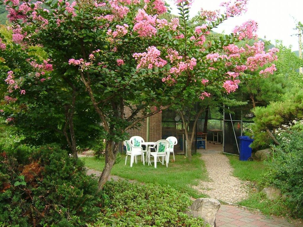 화산골산장 사진 8