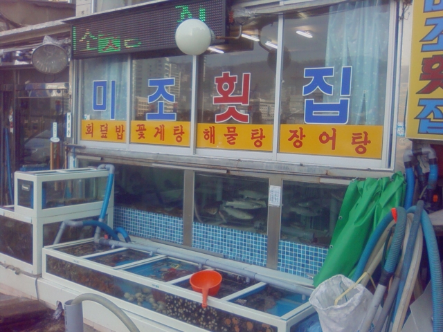 미조횟집 사진 8