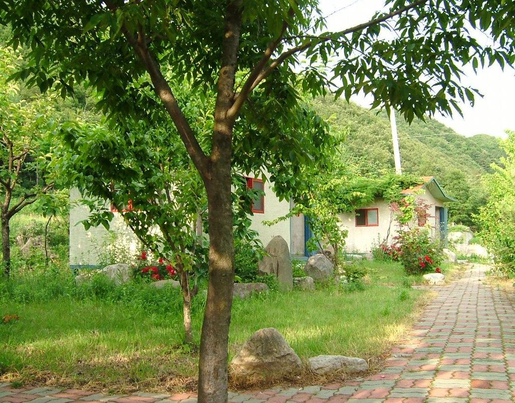 화산골산장 사진 7