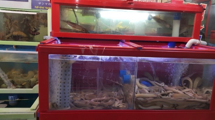 신해운대횟집 사진 4