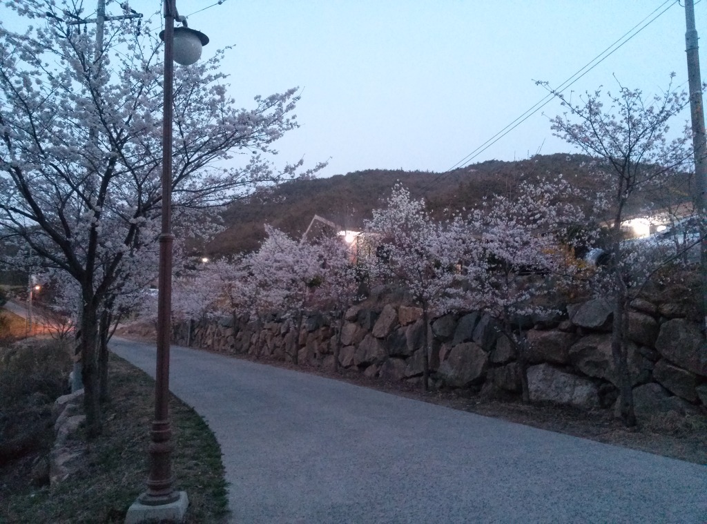 노곡산마루 사진 7