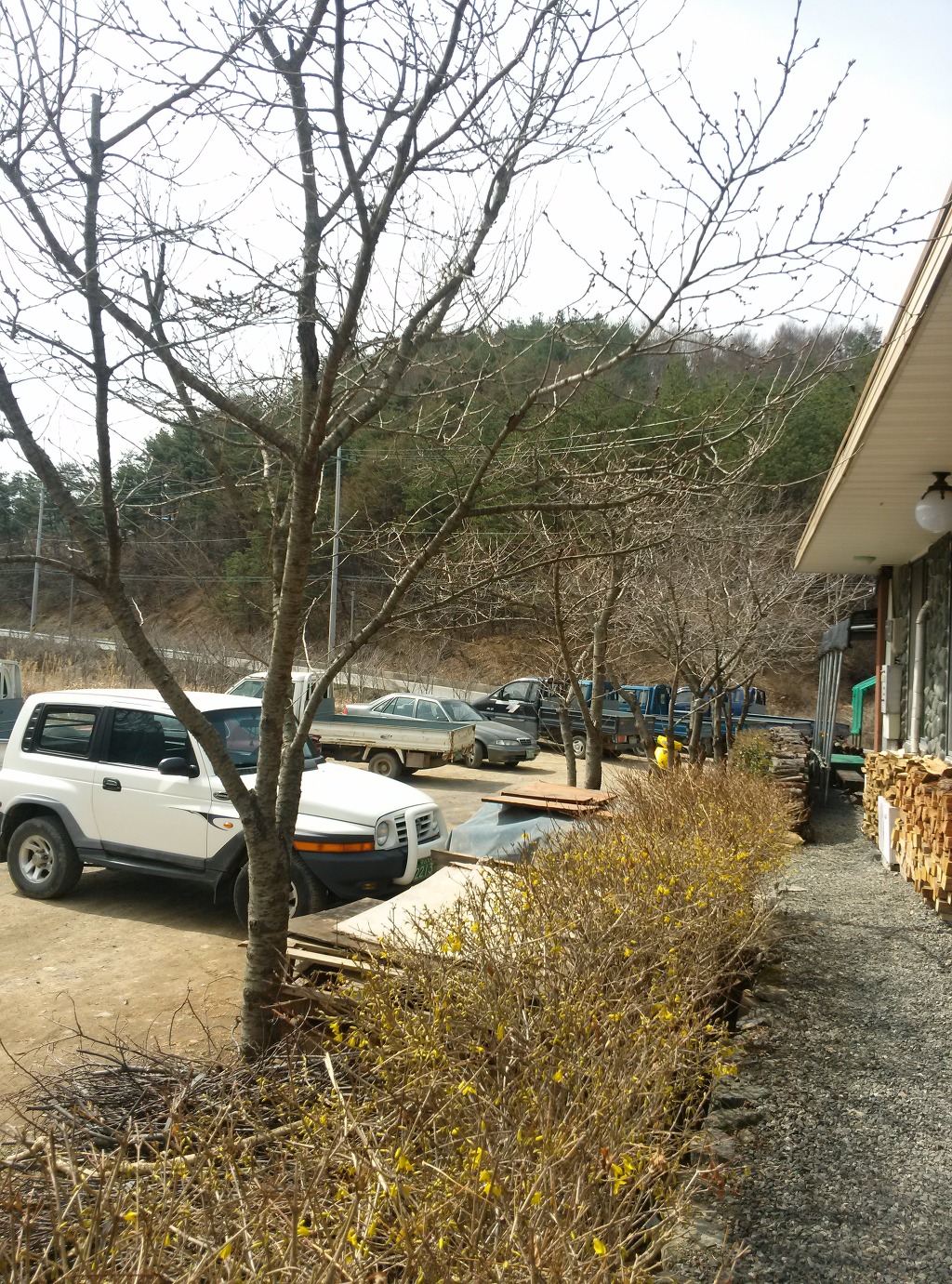 노곡산마루 사진 5