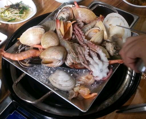 낙원조개오리 사진 3