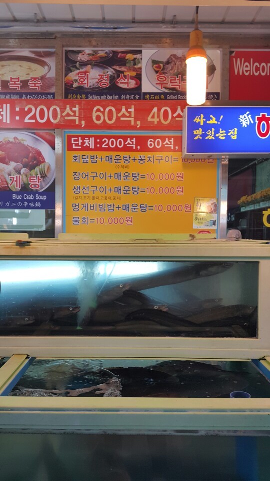 신해운대횟집 사진 2