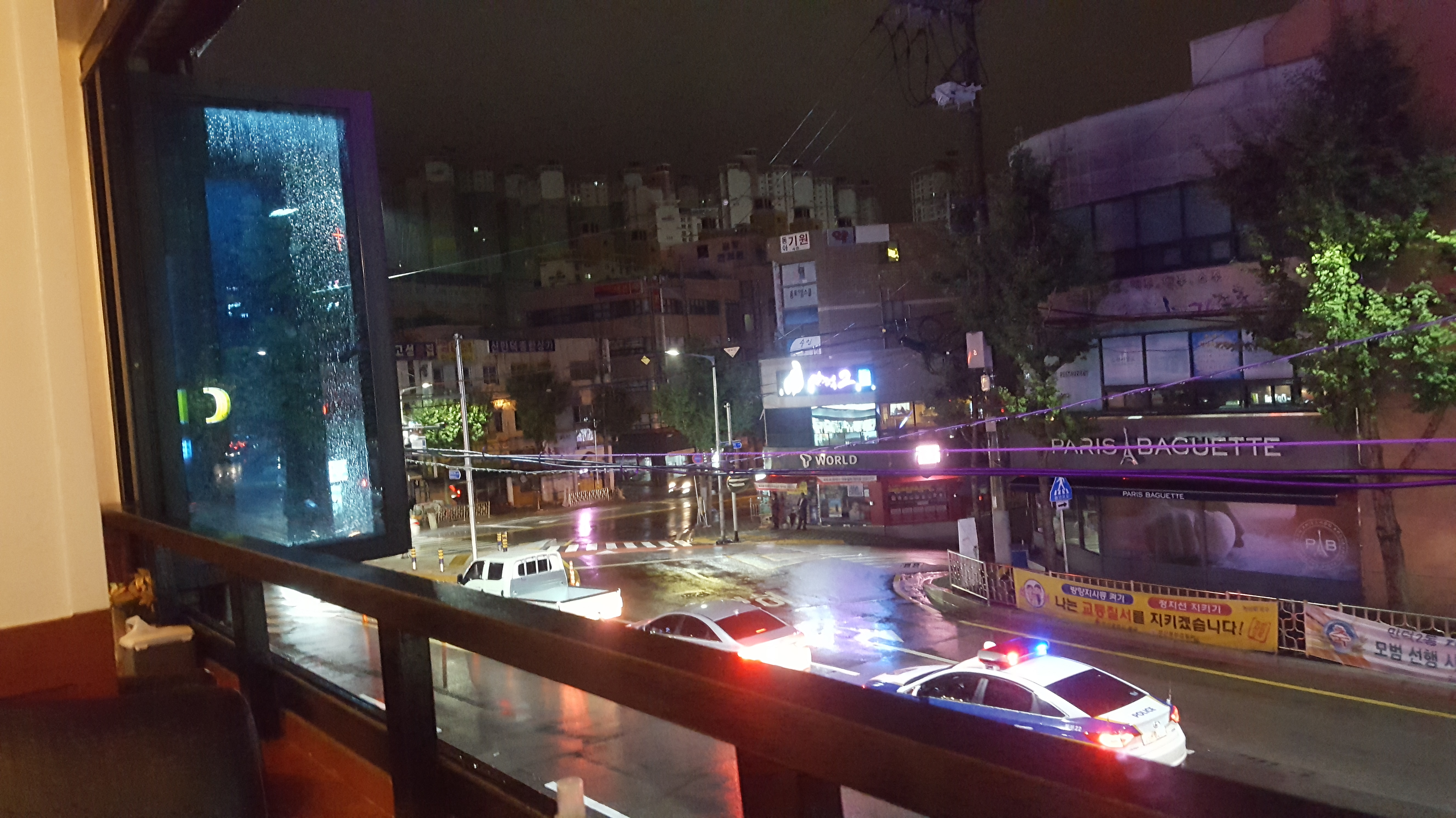 술먹는하마 사진 4