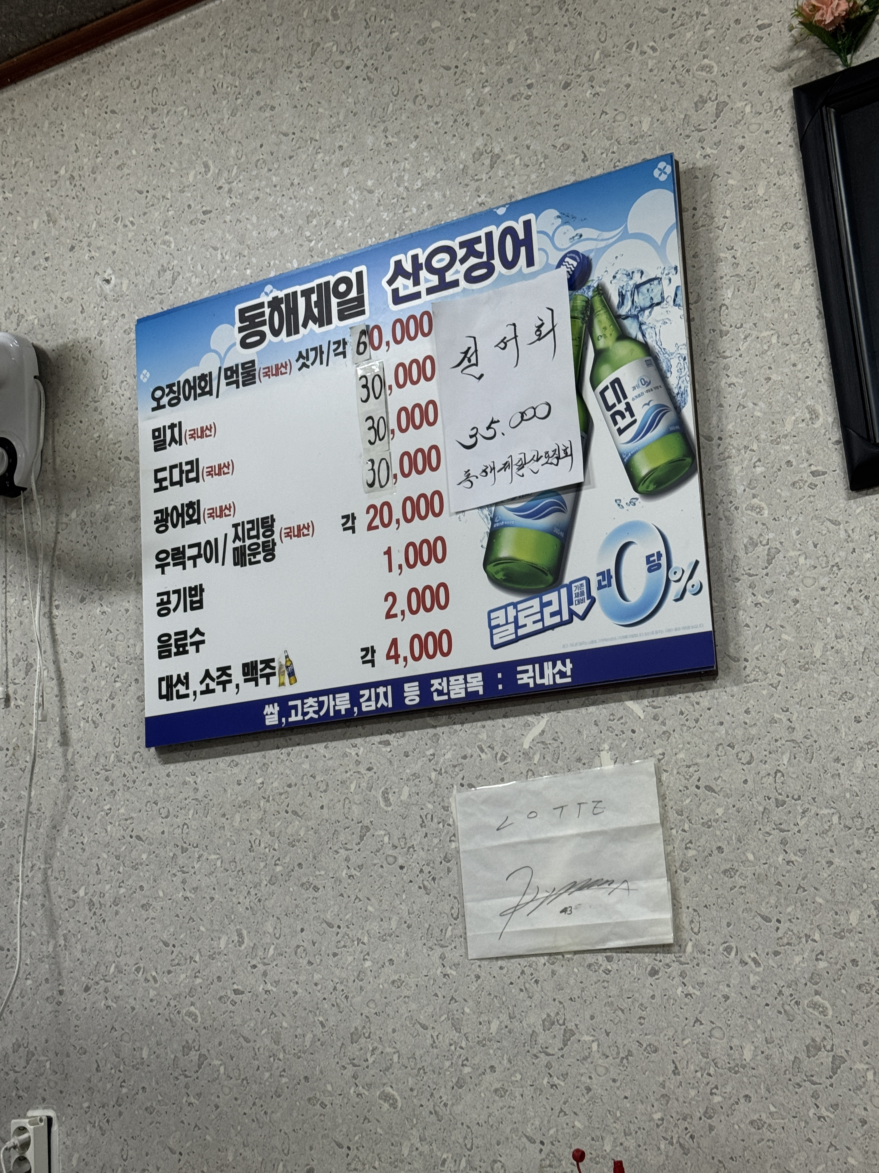 동해제일산오징어 사진 5