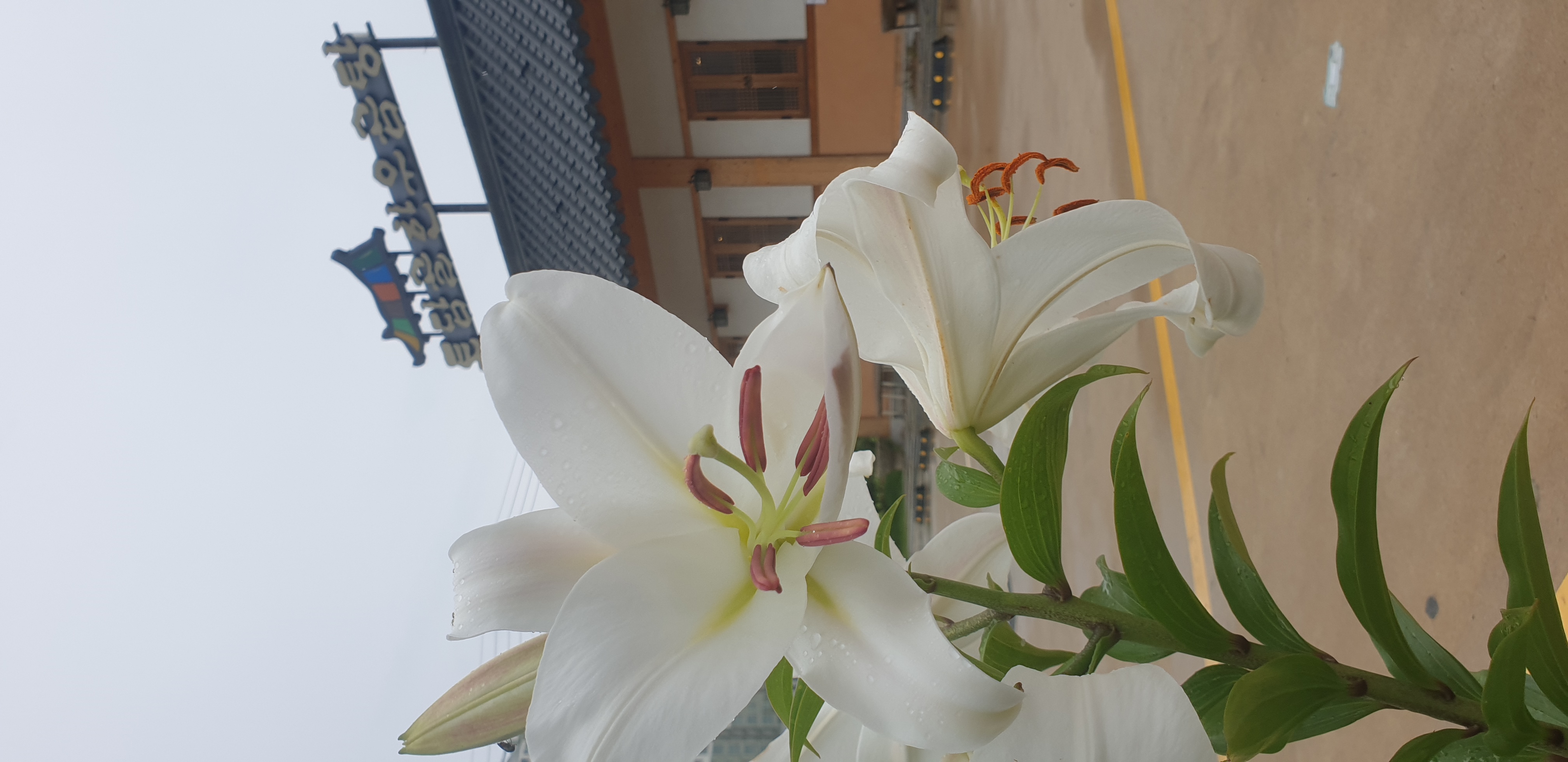 토담골 3