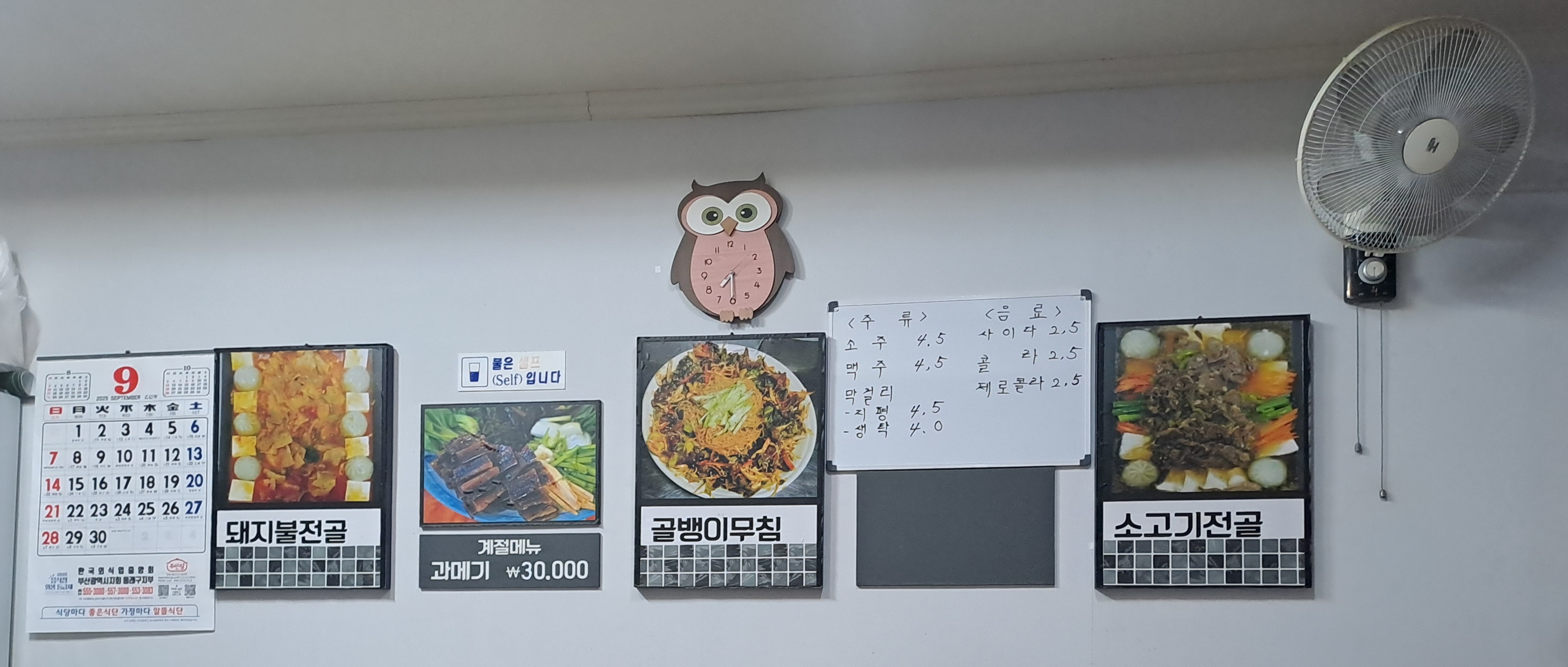 동래올빼미 사진 2