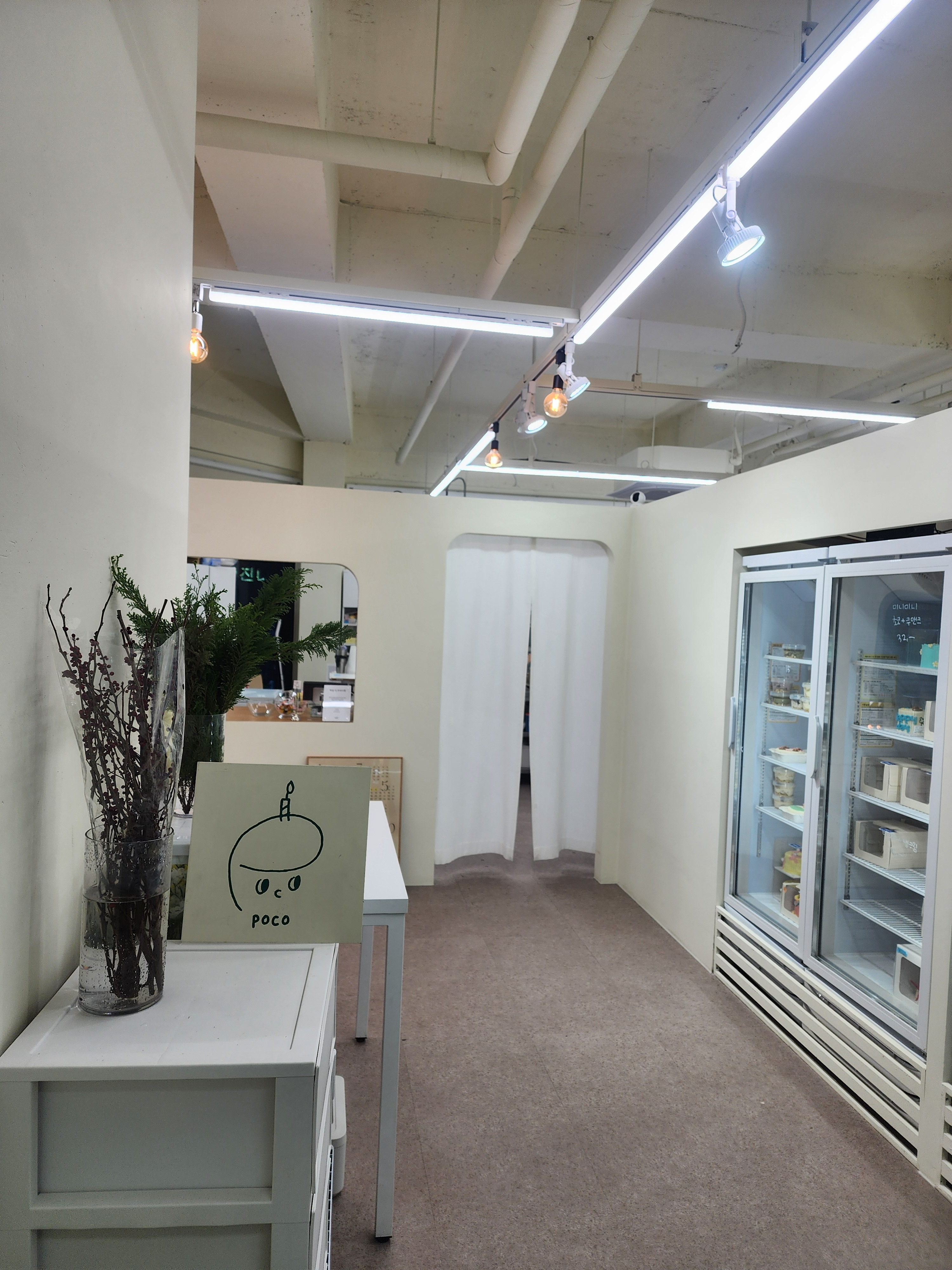 포코 사진 6