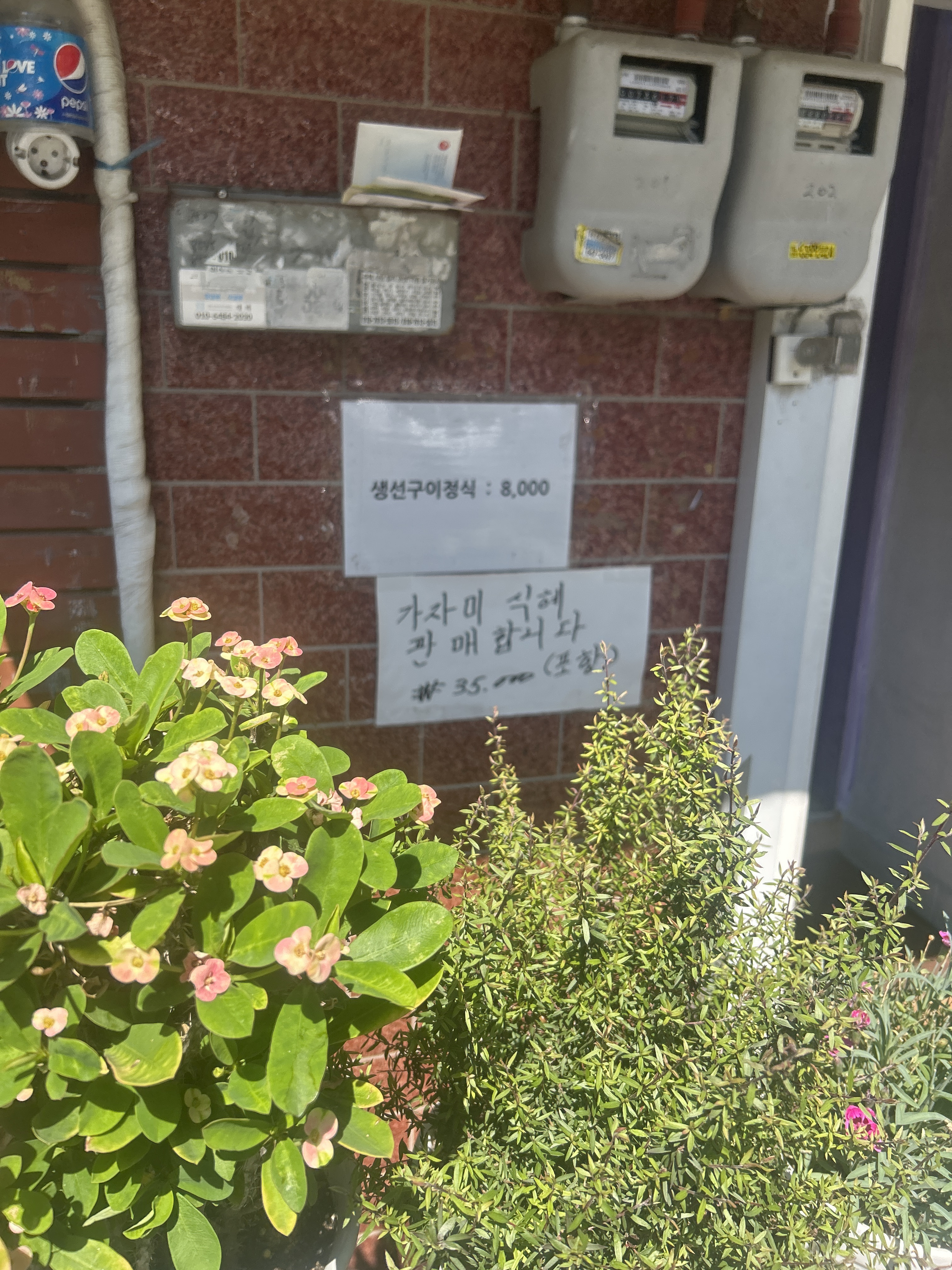 엄마집밥 사진 2