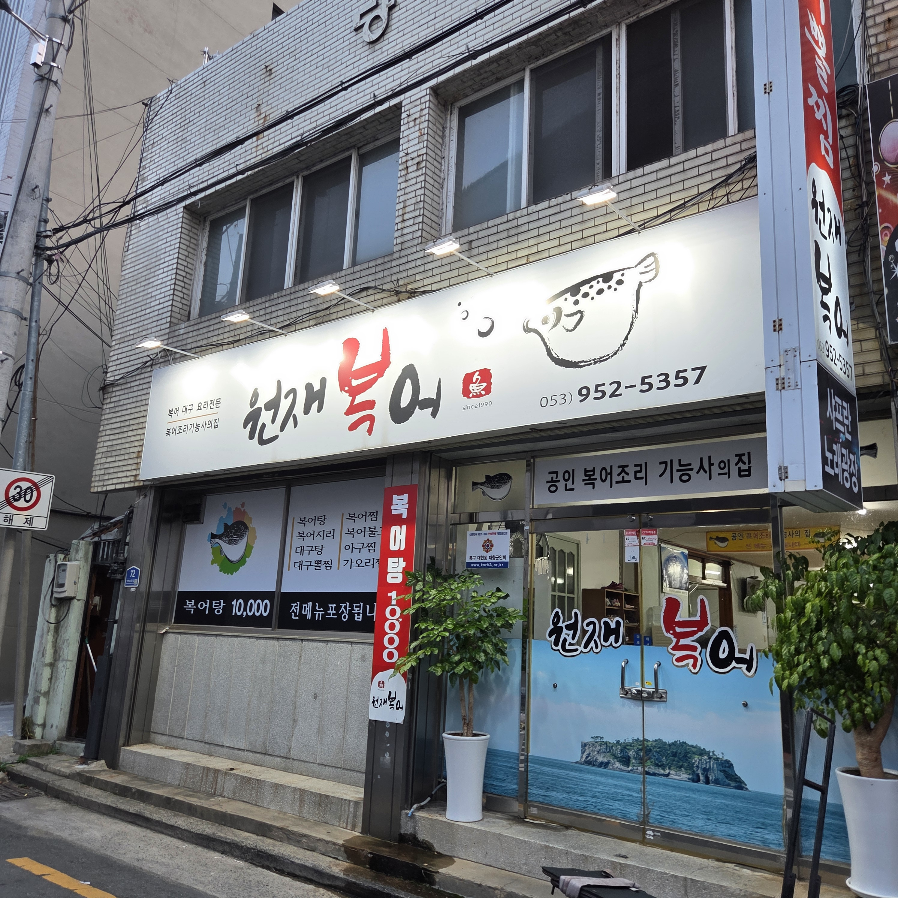 원재복어 1