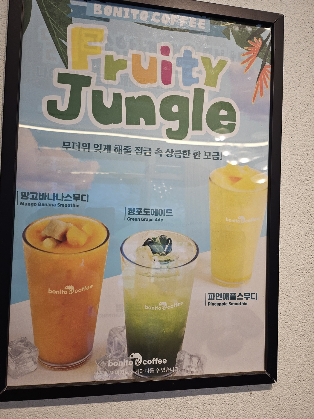 보니또커피 2