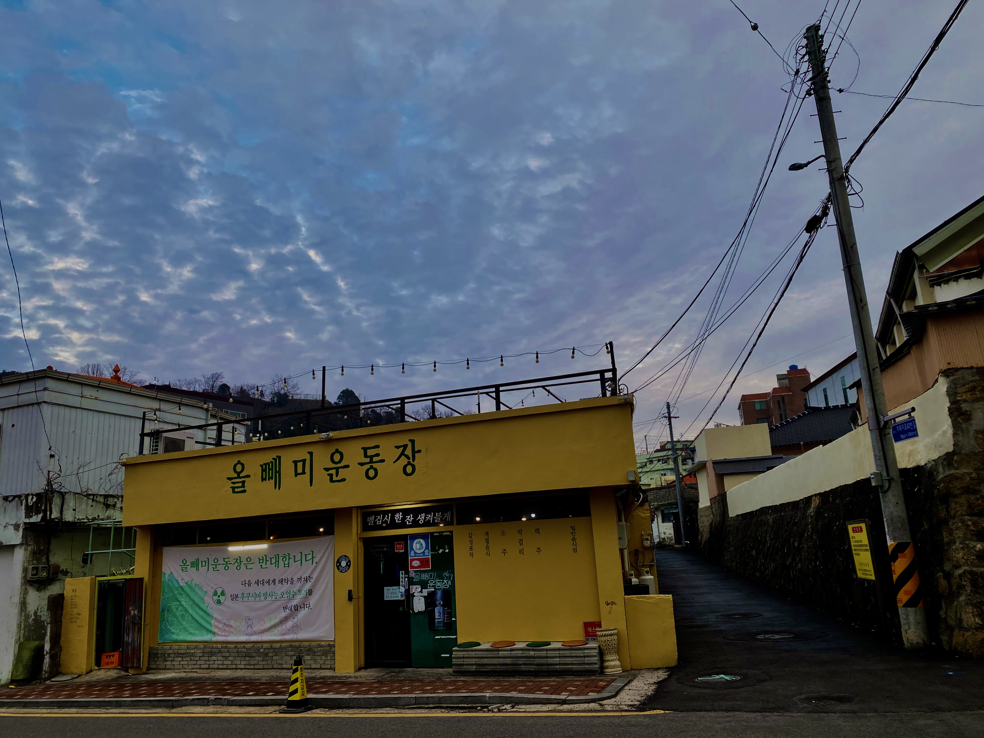 올빼미운동장 사진 7