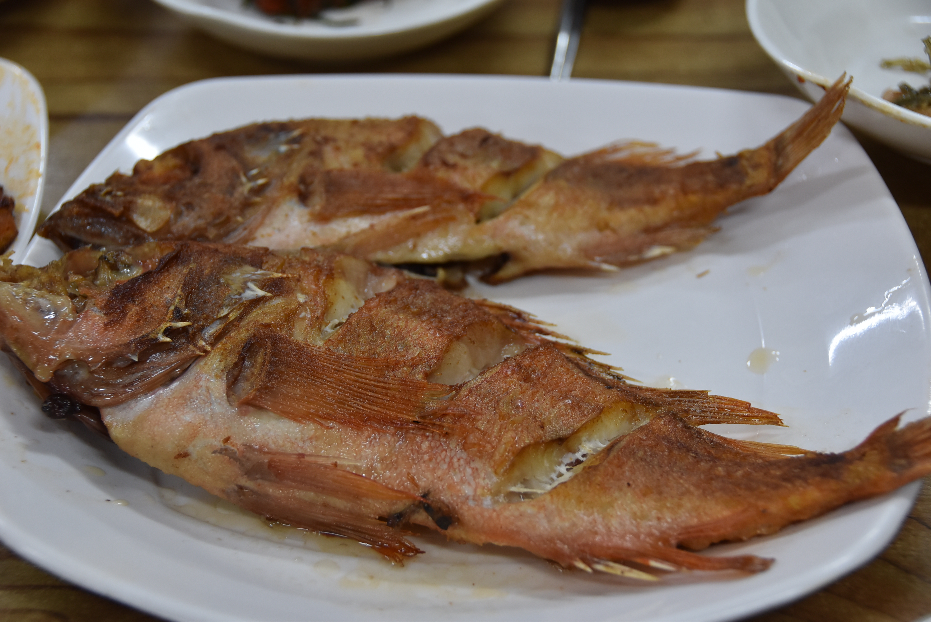 최일순순두부 사진 6