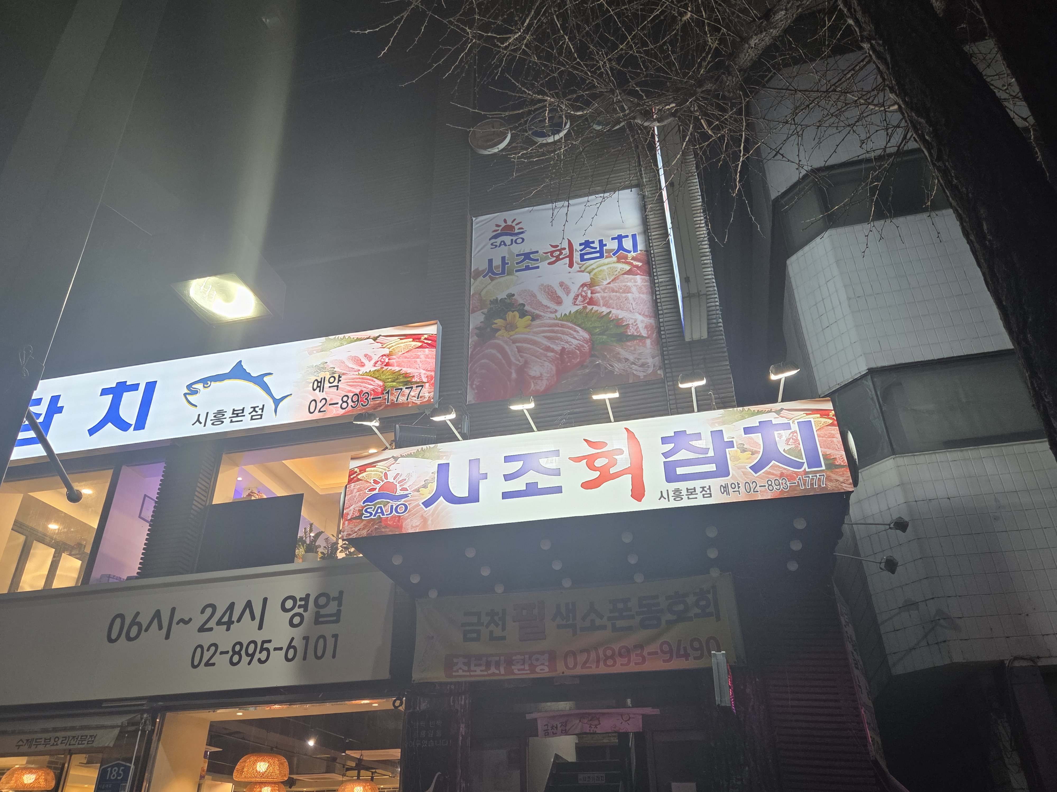 사조회참치 4