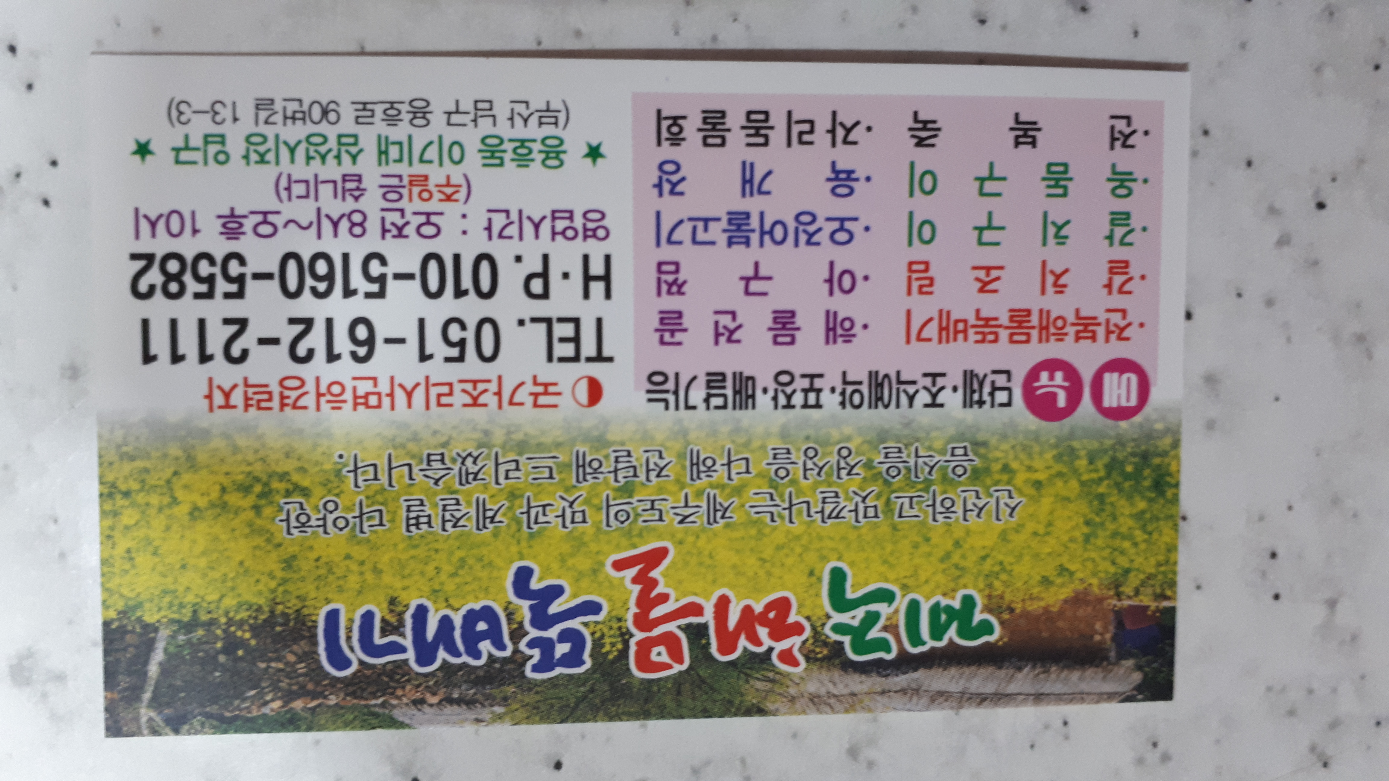 제주해물뚝배기 사진 2