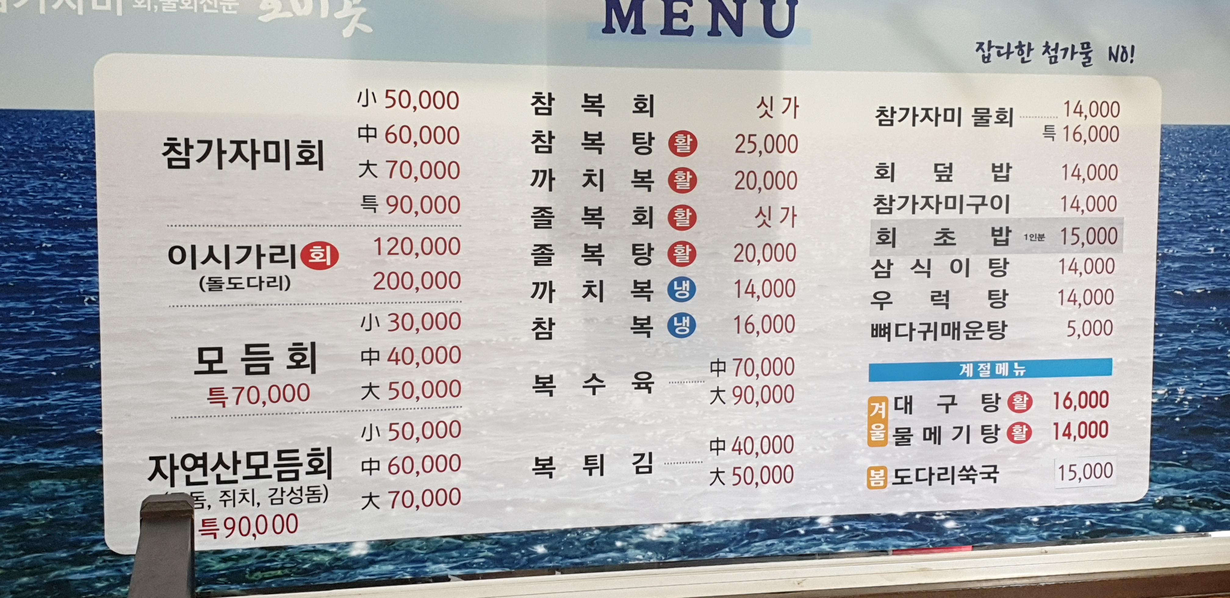참가자미호미곶 사진 2