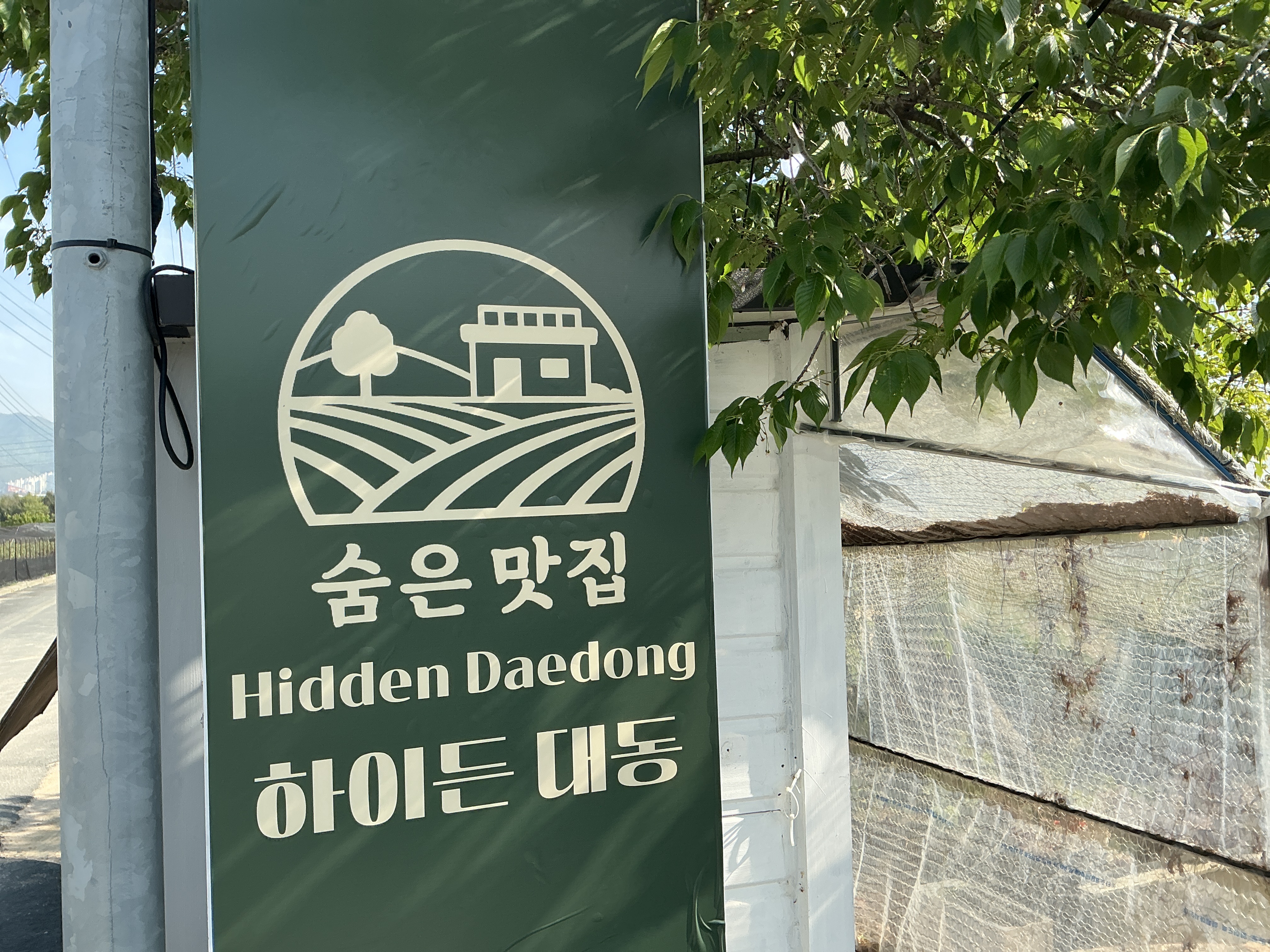 하이든 대동 대표 사진