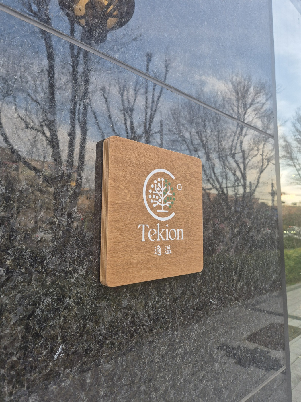 Tekion 5