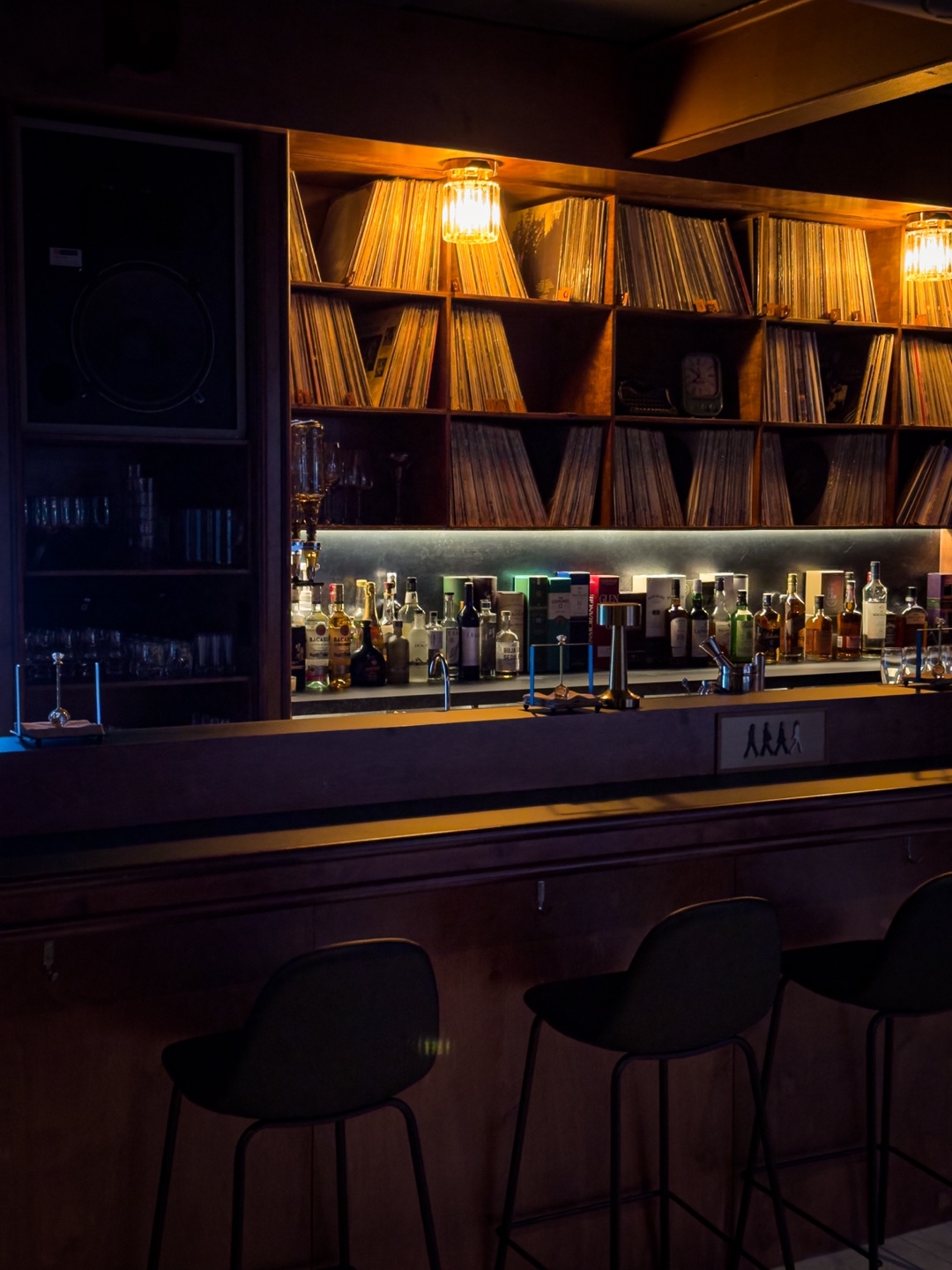 앵무새 LP바 사진 3