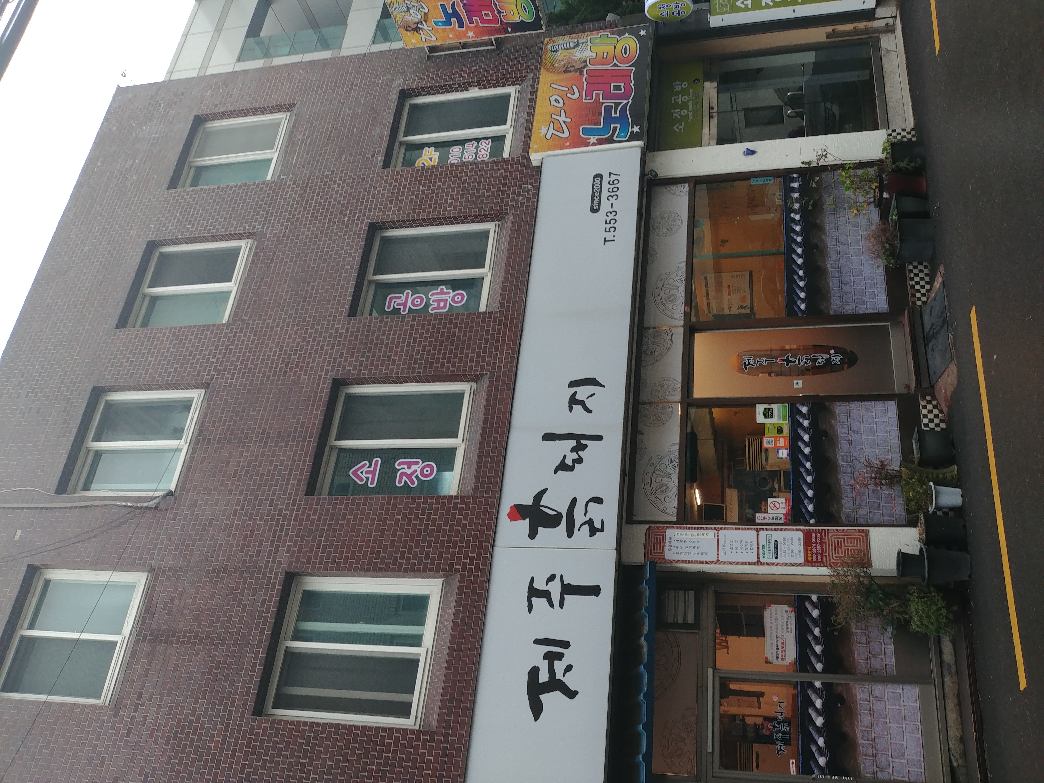 제주흙돼지 사진 2