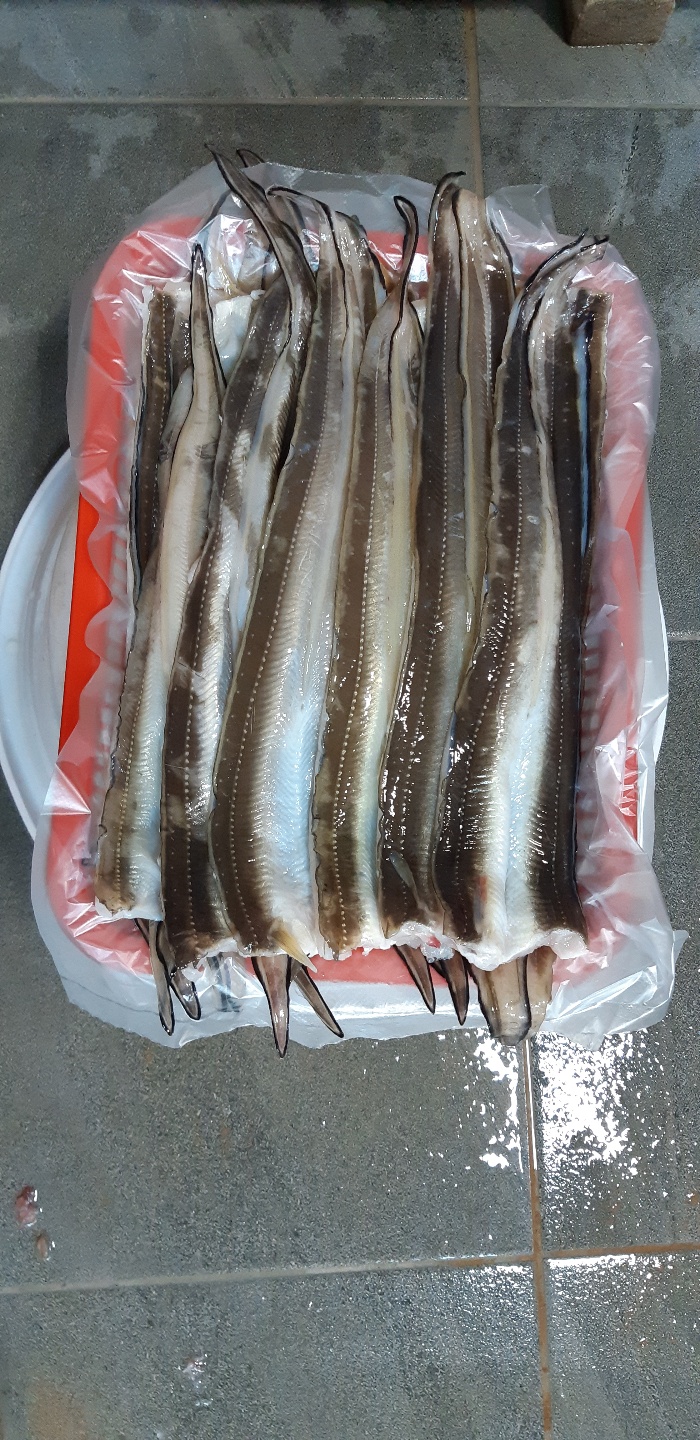 태영장어촌 사진 3