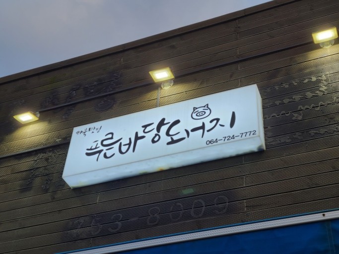 푸른바당돼지 사진 6