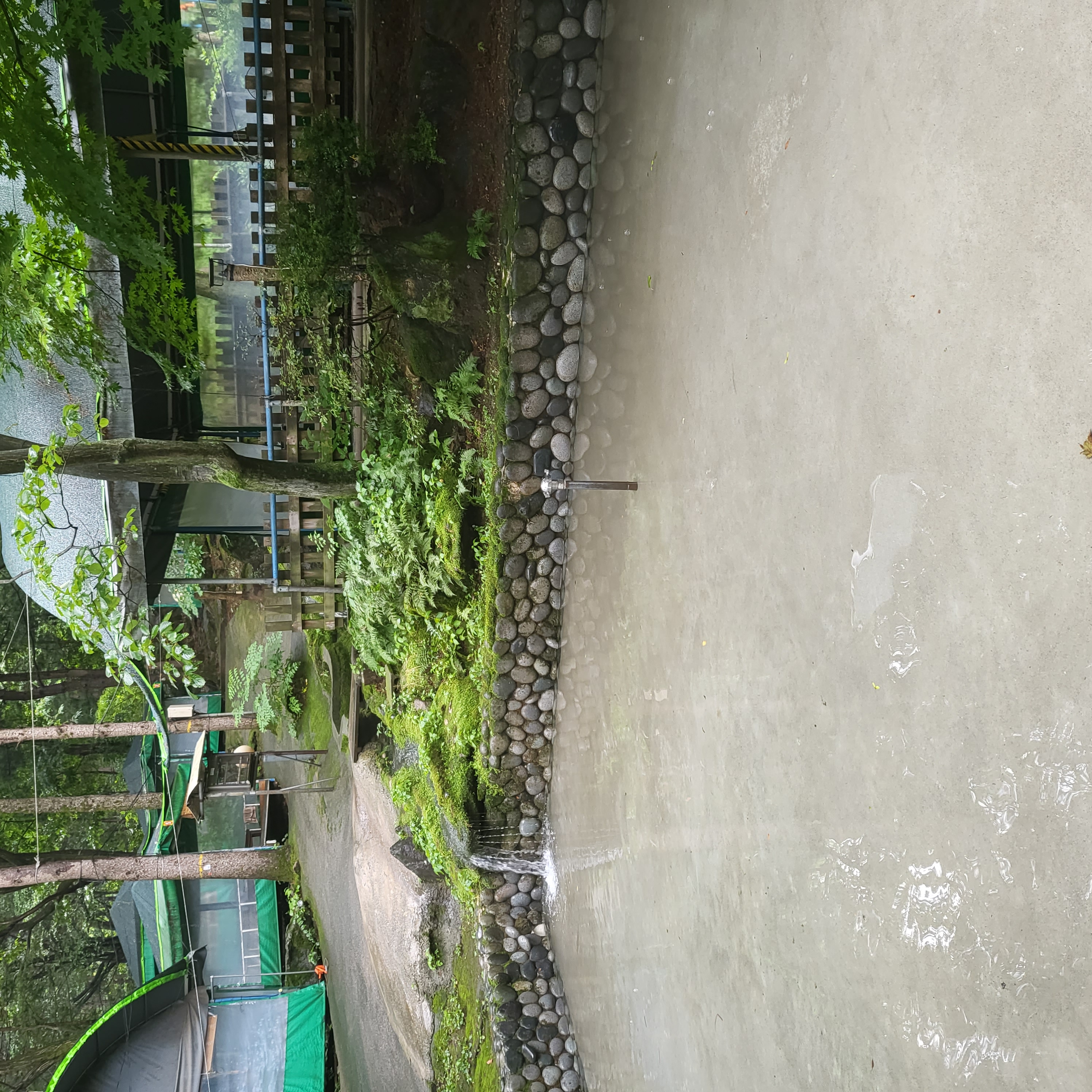 Jannamujip 5