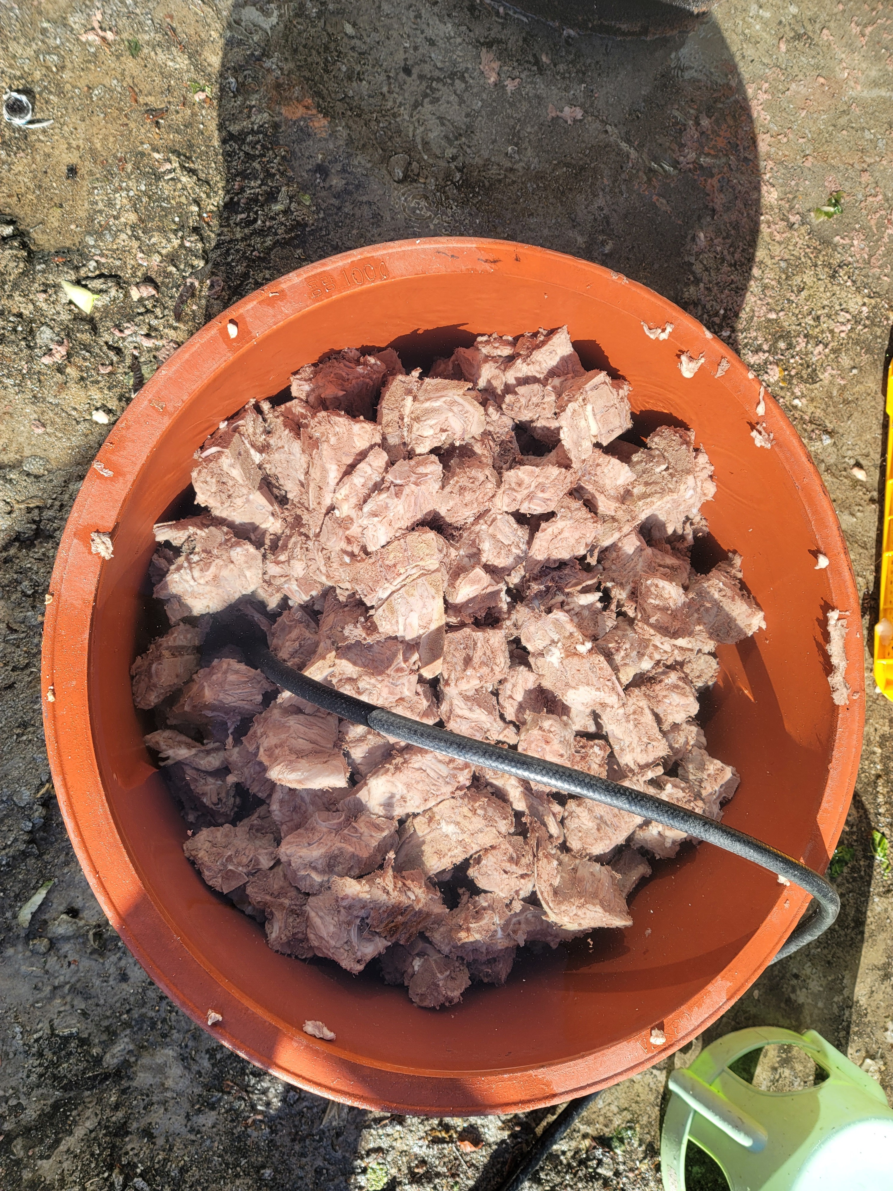 울릉도순대국밥 3