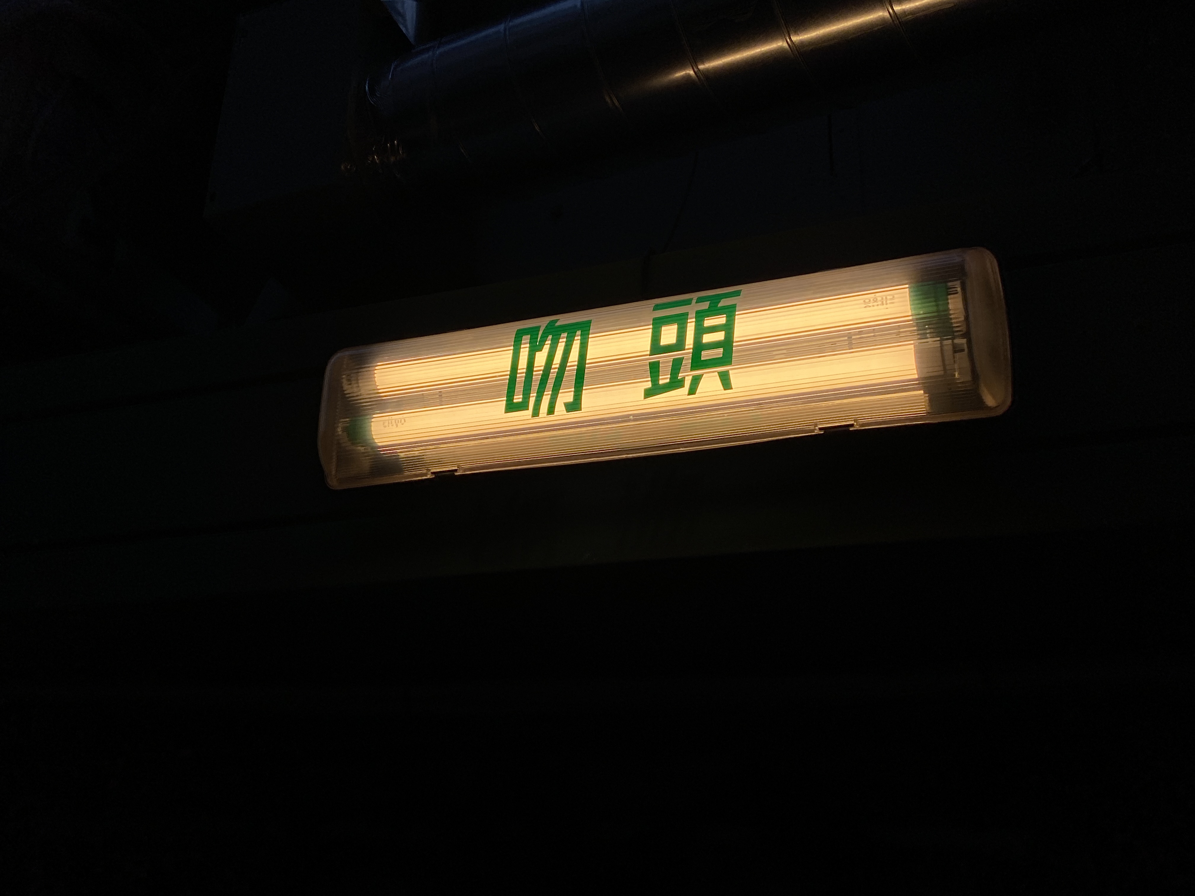 두릅 사진 3