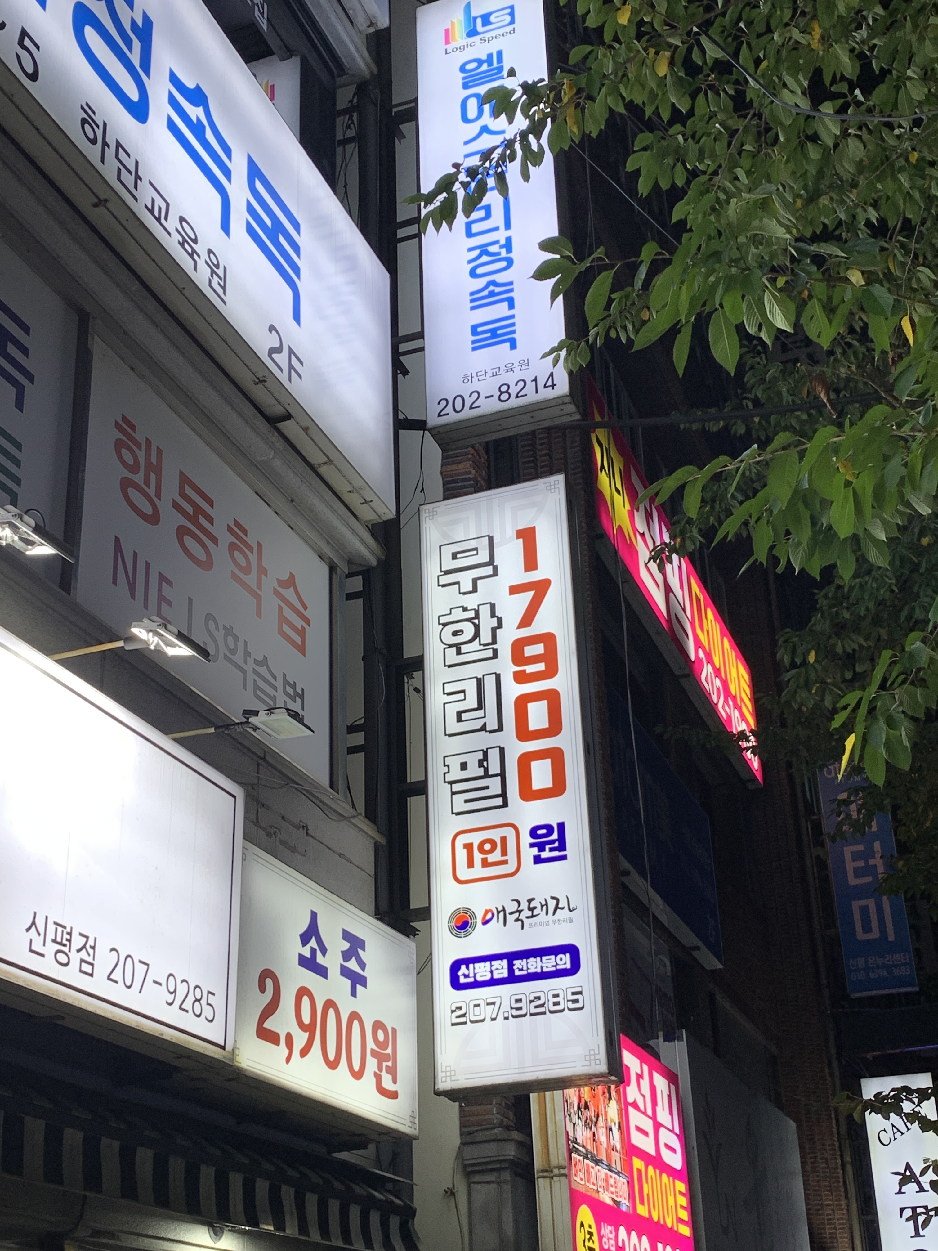 애국돼지 신평점 사진 4