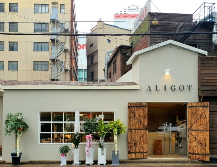 Alligo (알리고) 1