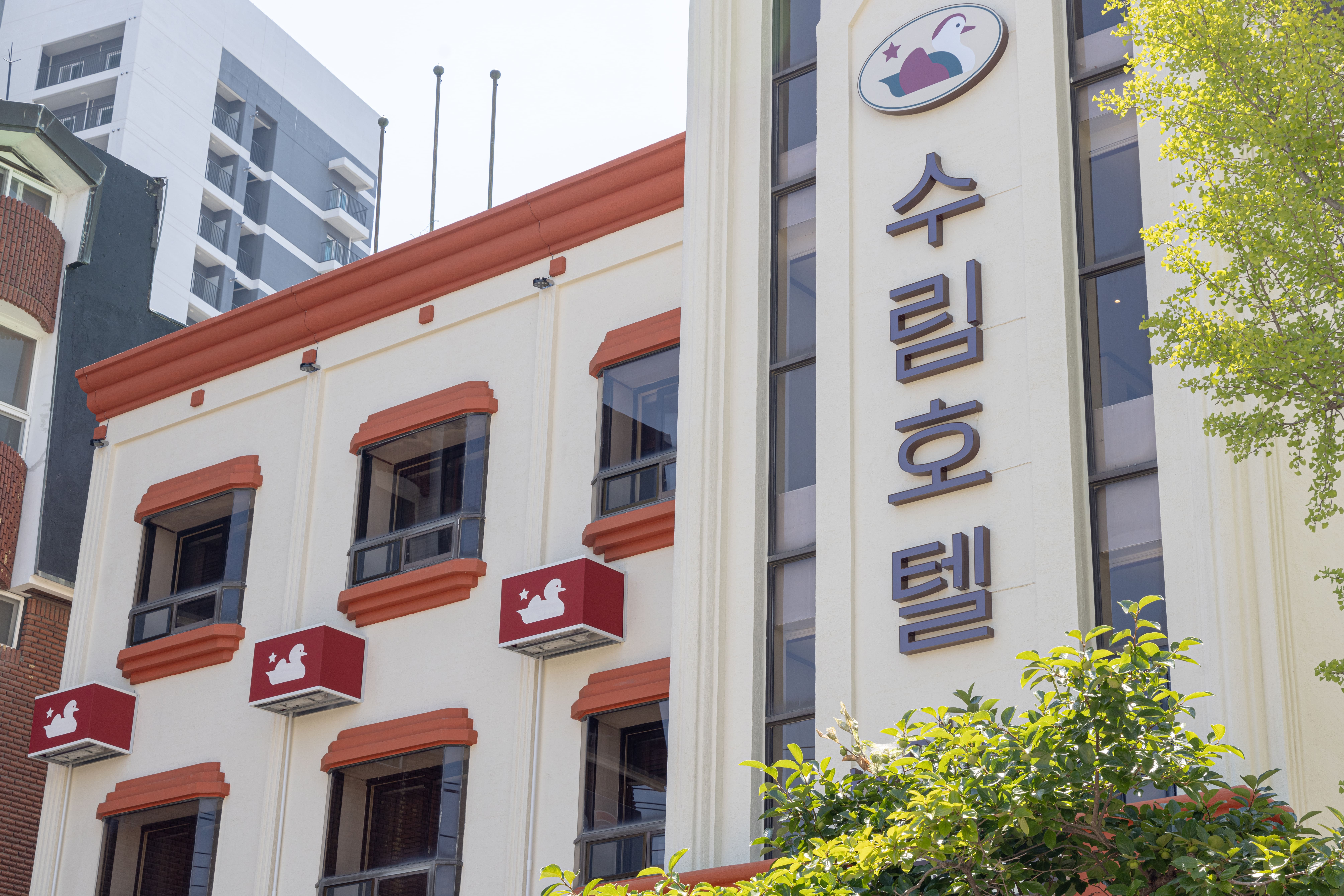 수림호텔 바이아늑 속초점 2
