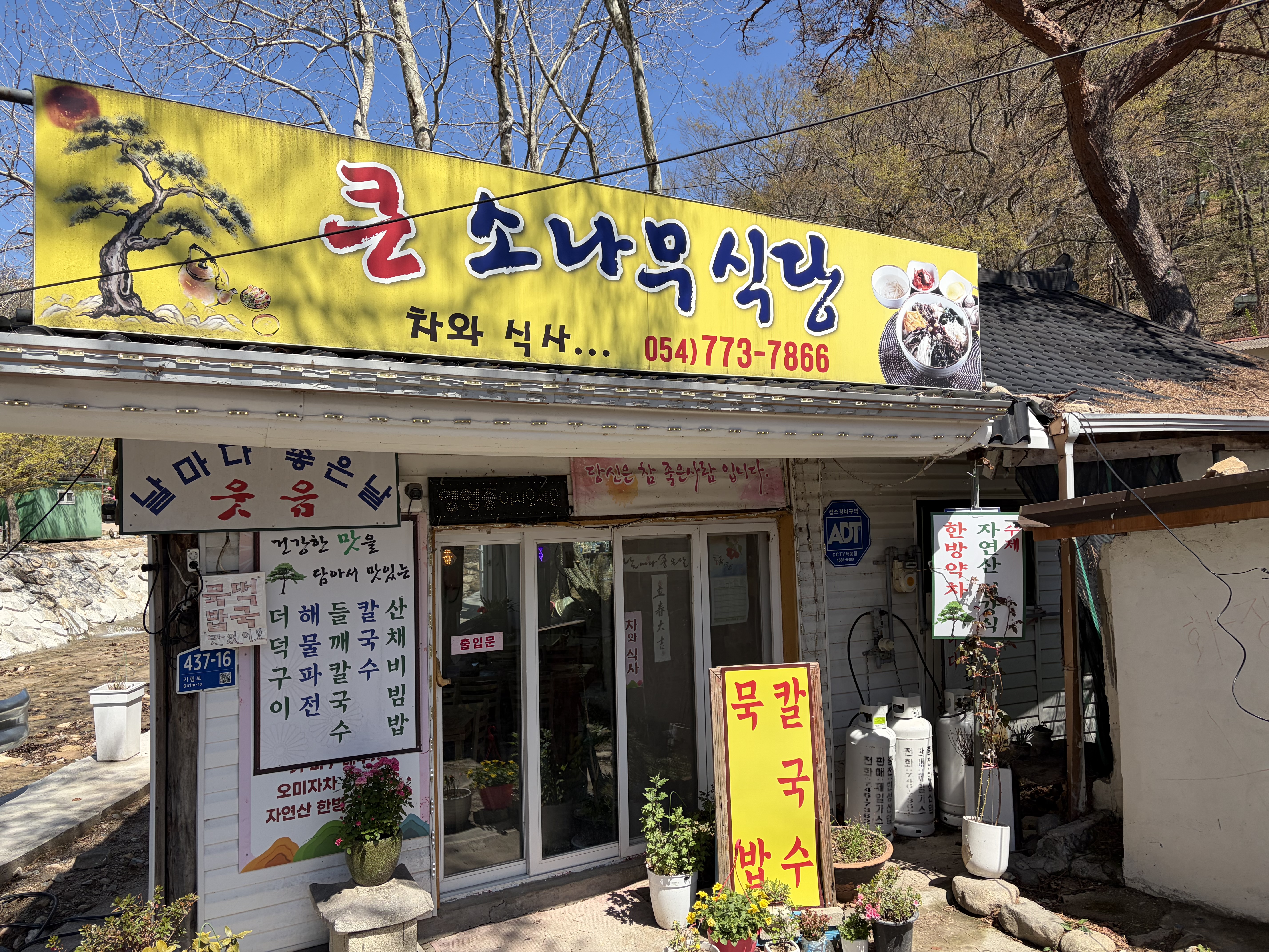 큰소나무식당 대표 사진