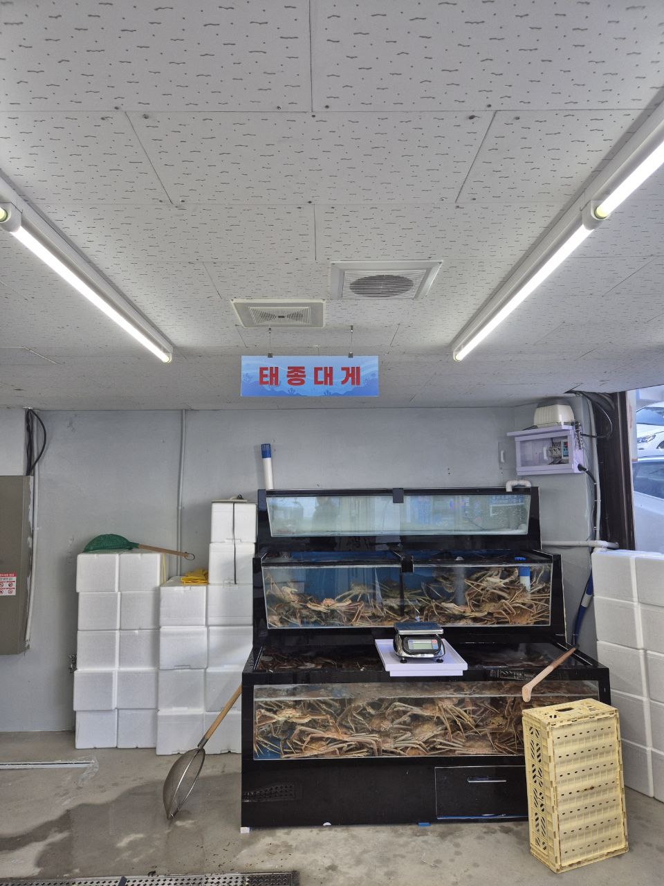 태종대게 사진 2